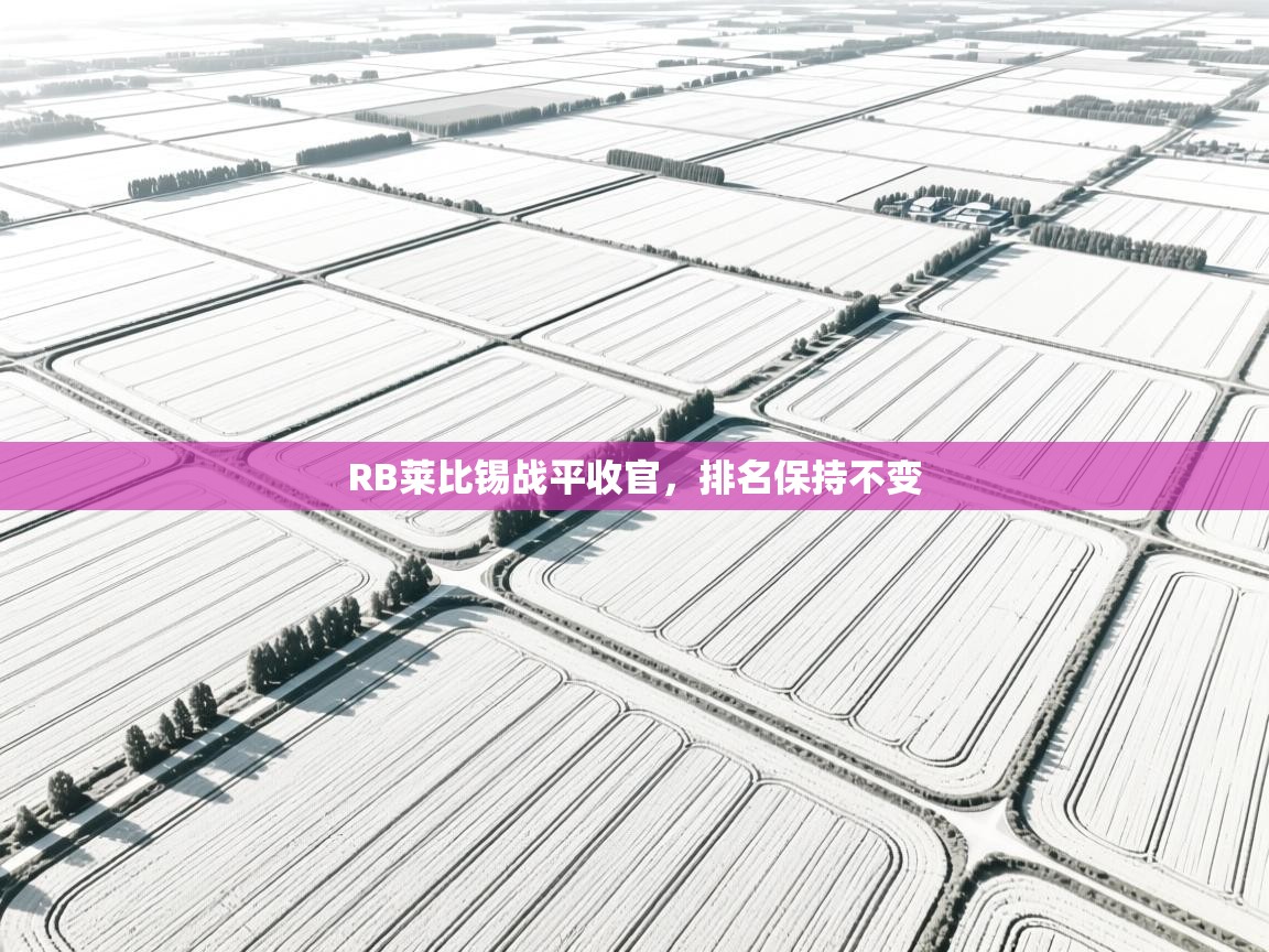 RB莱比锡战平收官，排名保持不变  第1张